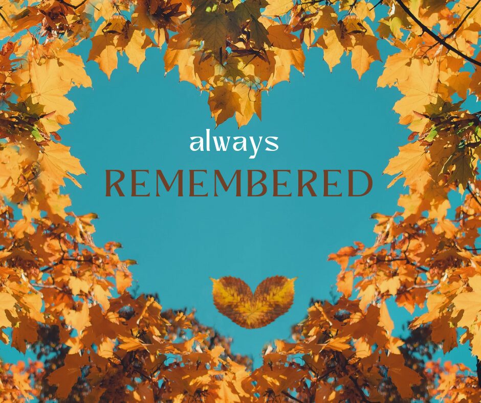 Get updates and learn about everything we have going on! (1)